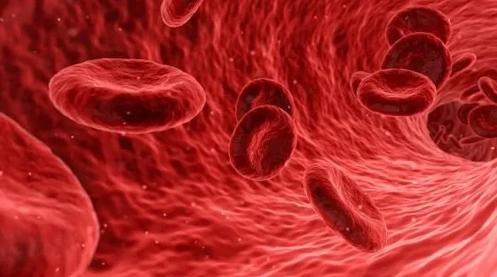 Darstellung roter Blutkörperchen im Blutgefäß zur Veranschaulichung der Durchblutung.